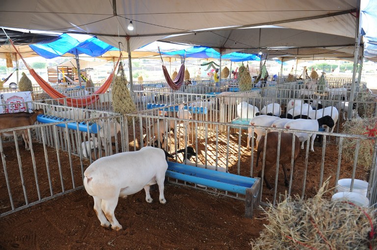 Circuito Empreender e Expo Monteiro: Empreendedorismo e Agronegócio na região do Cariri Paraibano